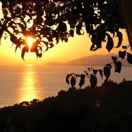 Villa Mimosa Resort Anacapri  Eksteriør billede