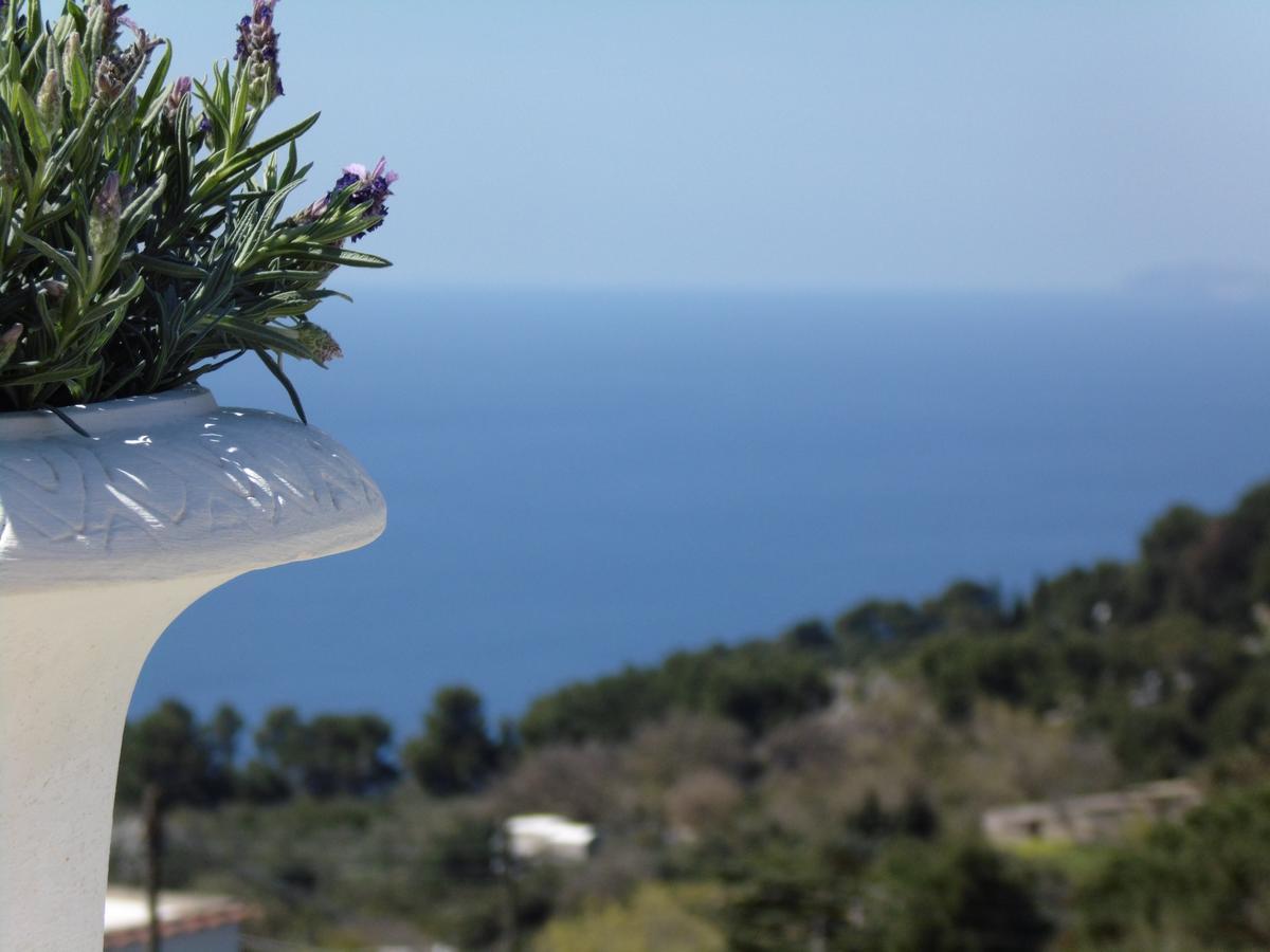 Villa Mimosa Resort Anacapri  Eksteriør billede