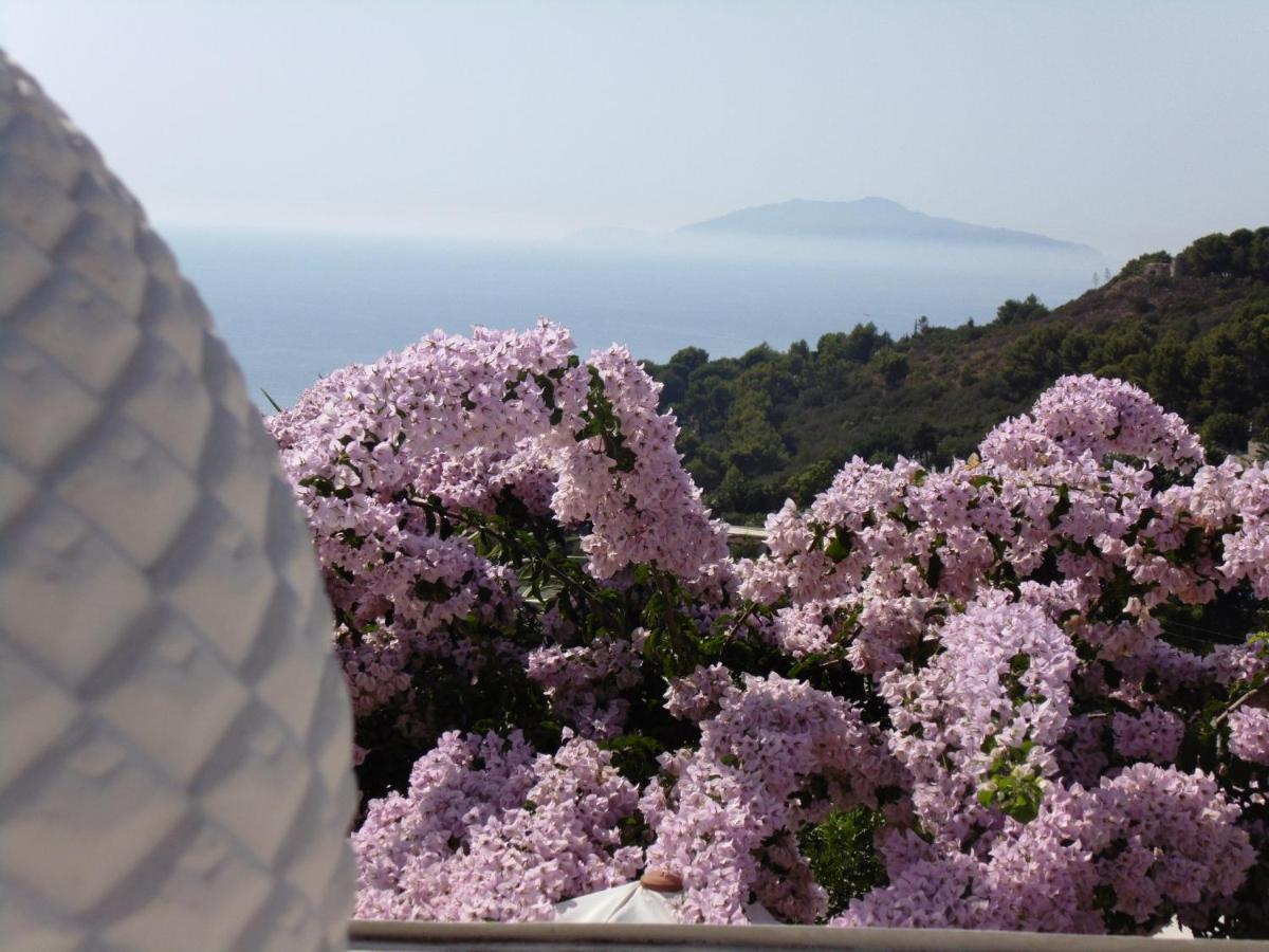 Villa Mimosa Resort Anacapri  Eksteriør billede
