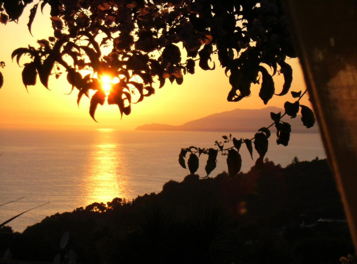 Villa Mimosa Resort Anacapri  Eksteriør billede