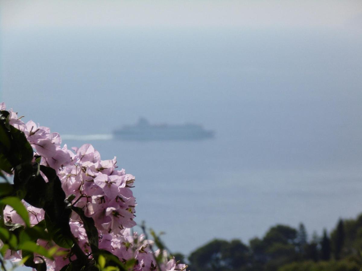 Villa Mimosa Resort Anacapri  Eksteriør billede