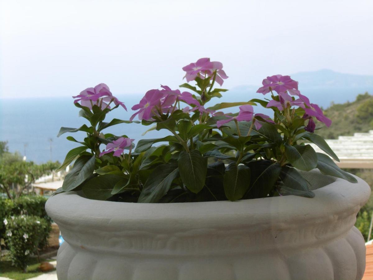 Villa Mimosa Resort Anacapri  Eksteriør billede