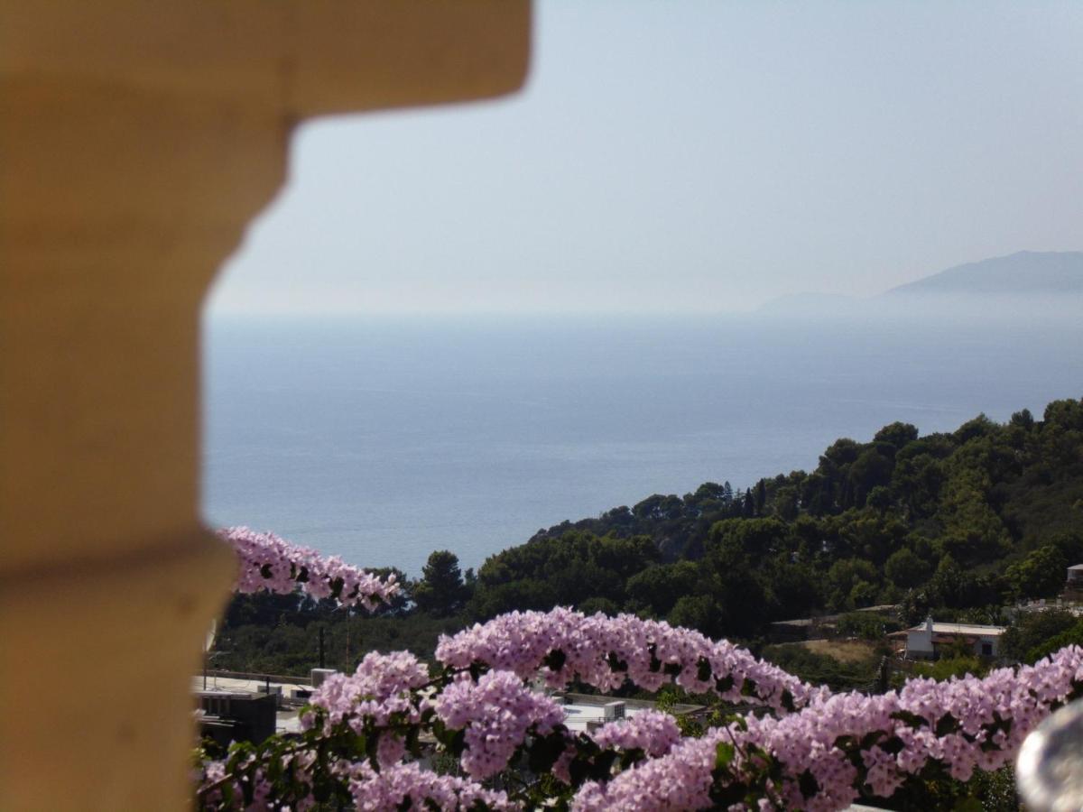 Villa Mimosa Resort Anacapri  Eksteriør billede